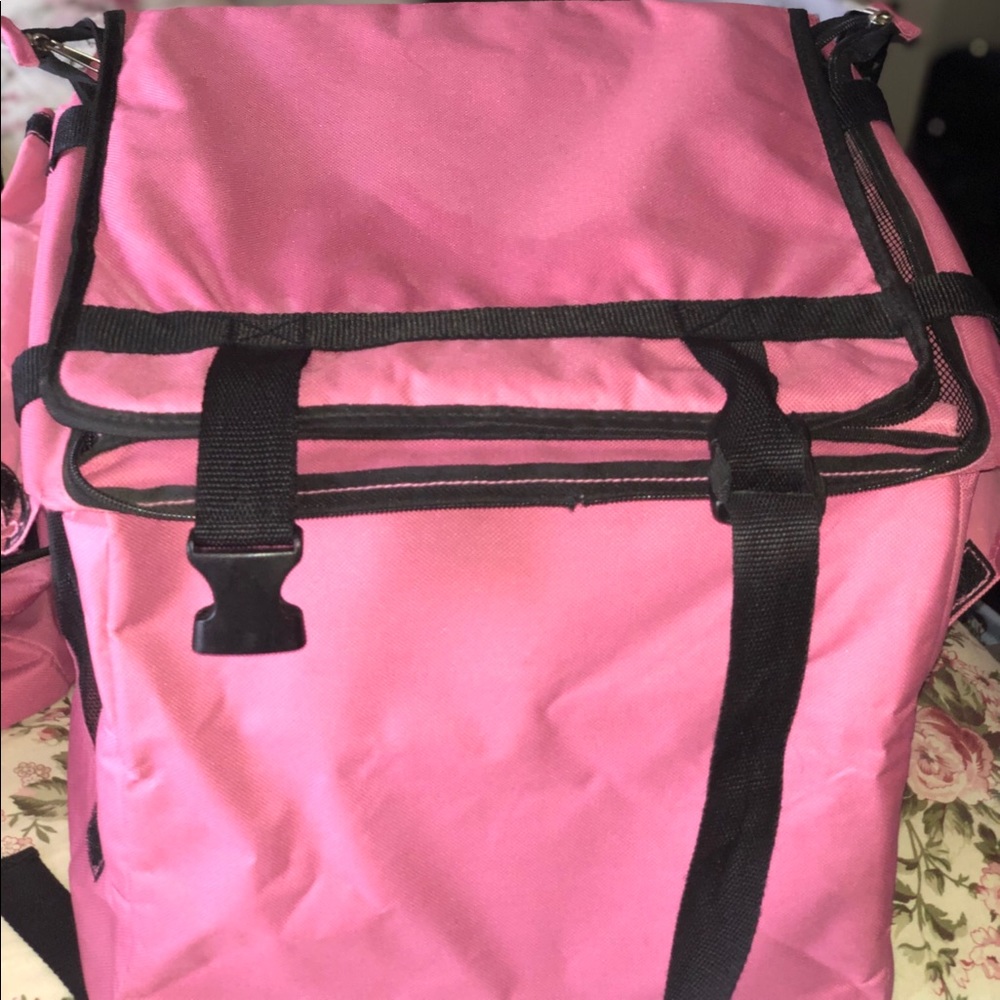 COMPACT DOG BOOSTER SEAT
